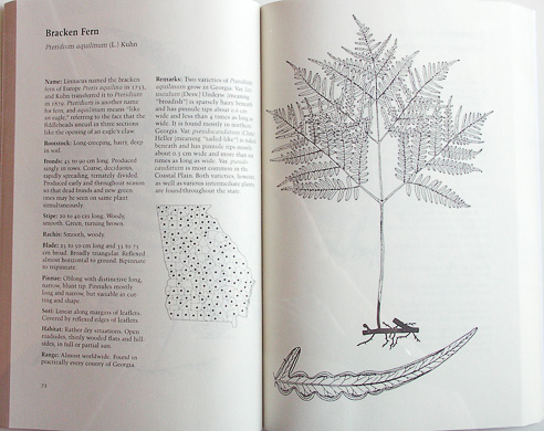 page from Field Guide to the Ferns and Other Pteridophytes of Georgia by Lloyd H. Snyder, Jr., and James G. Brucee