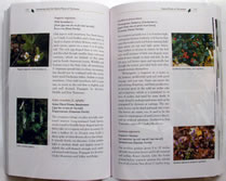 page from Gardening
with the Native Plants of Tennessee: the Spirit of Place by Margie Hunter
