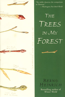 bookcover The Trees in My Forest by Bernd Heinrich